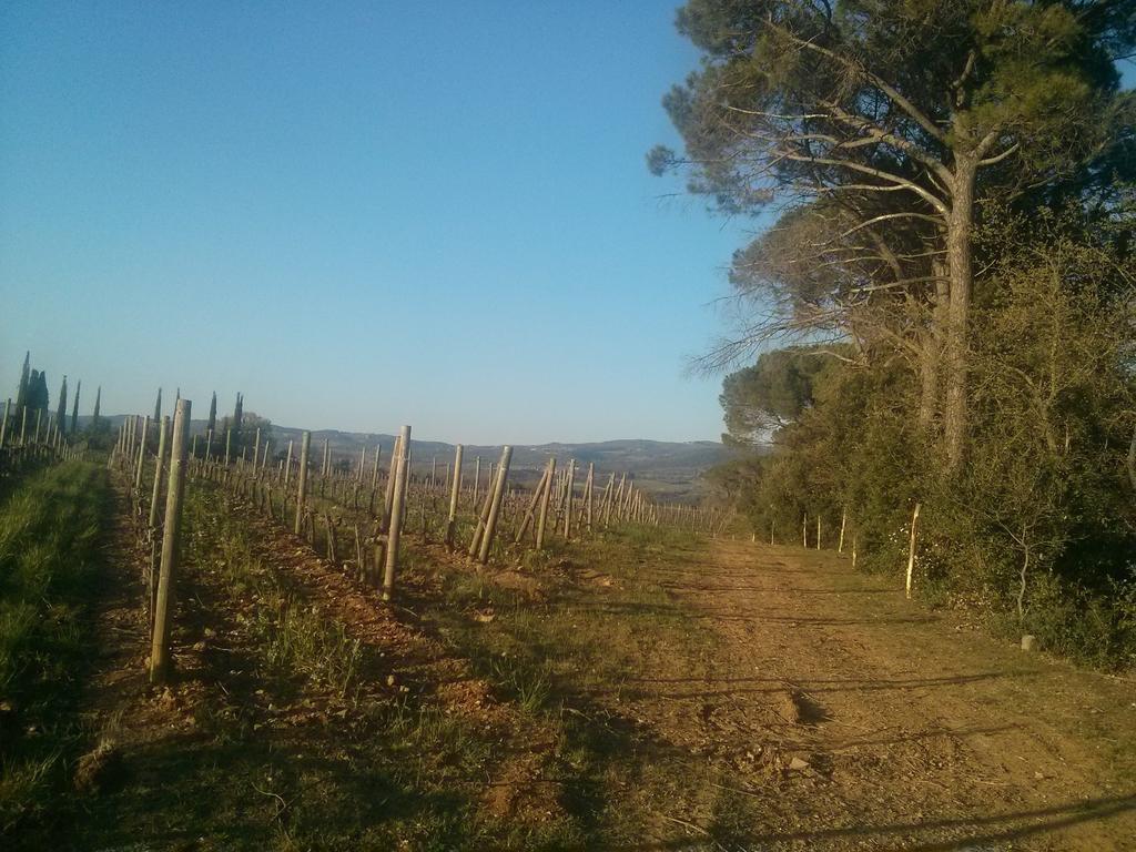 Argiano Dimore Wine Relais Exteriör bild