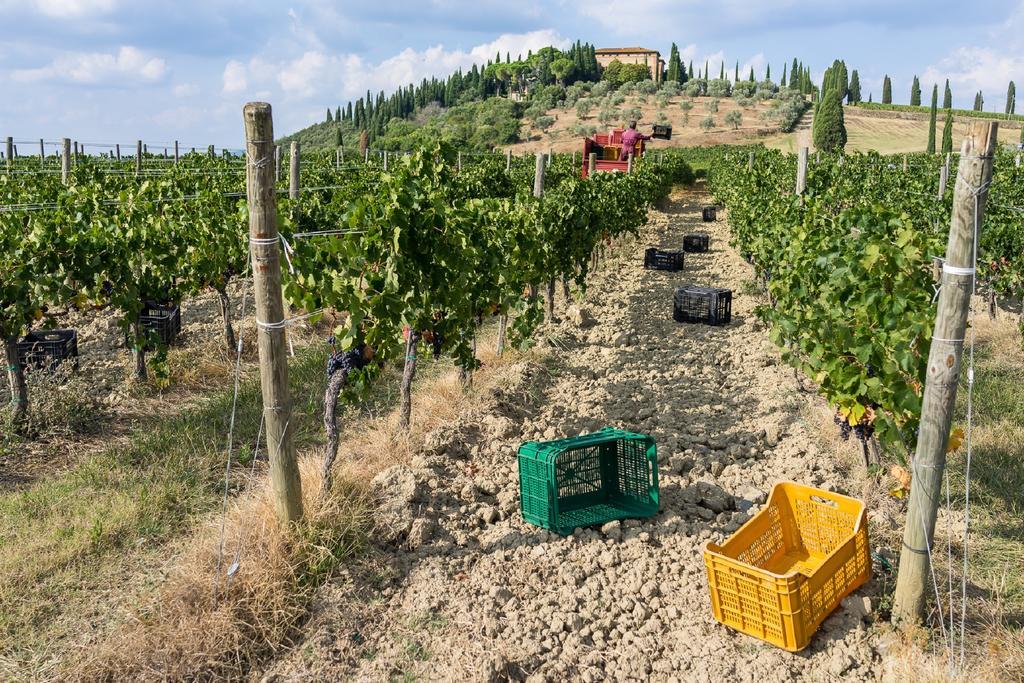 Argiano Dimore Wine Relais Exteriör bild