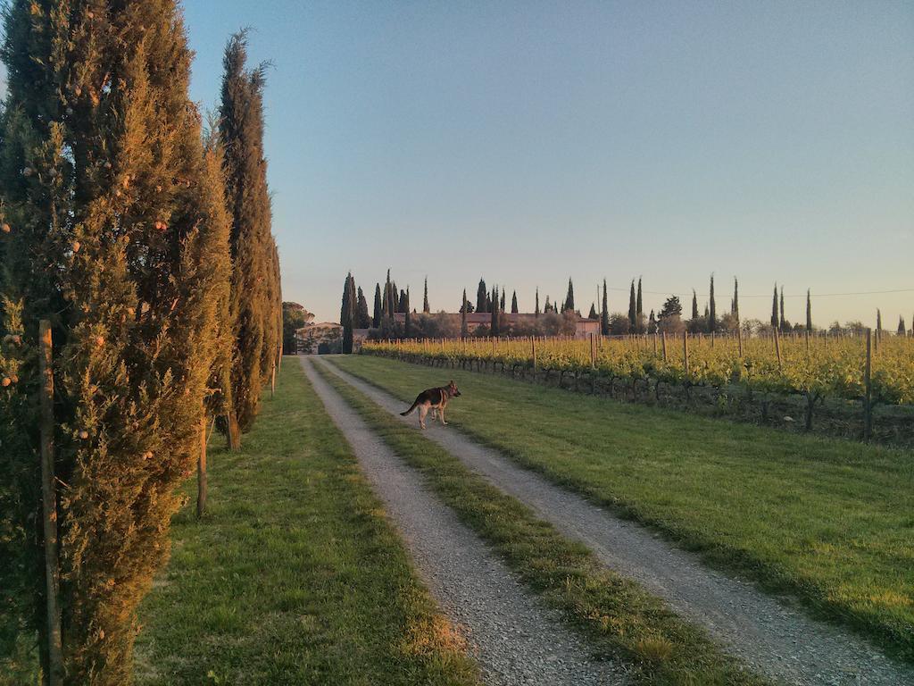 Argiano Dimore Wine Relais Exteriör bild